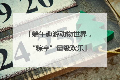 端午趣游动物世界，“粽享”量级欢乐