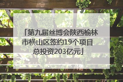 第九届丝博会陕西榆林市横山区签约19个项目 总投资203亿元