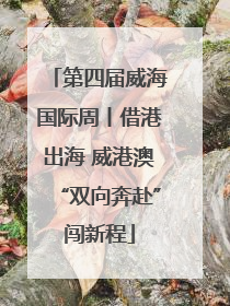 第四届威海国际周丨借港出海 威港澳“双向奔赴”闯新程