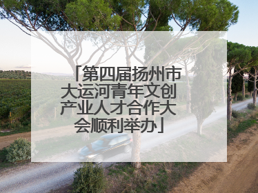 第四届扬州市大运河青年文创产业人才合作大会顺利举办