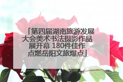 第四届湖南旅游发展大会美术书法摄影作品展开幕 180件佳作点燃岳阳文旅爆点