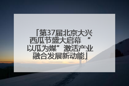 第37届北京大兴西瓜节盛大启幕 “以瓜为媒”激活产业融合发展新动能