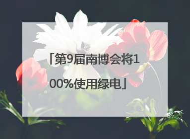 第9届南博会将100%使用绿电