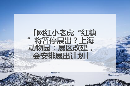 网红小老虎“红糖”将暂停展出？上海动物园：展区改建，会安排展出计划