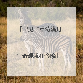 罕见“草莓满月”奇观就在今晚