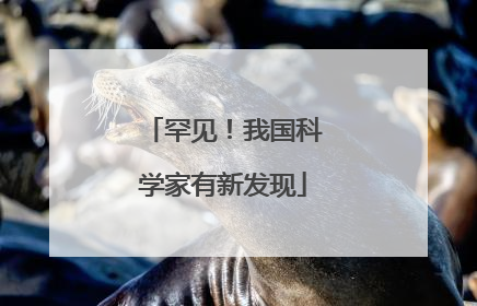 罕见！我国科学家有新发现