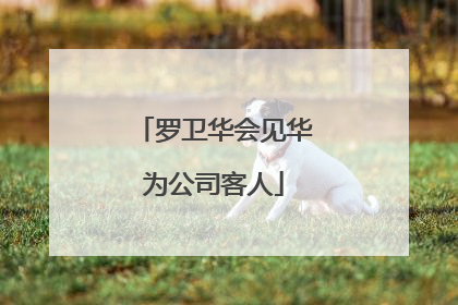罗卫华会见华为公司客人