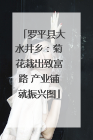 罗平县大水井乡：菊花栽出致富路 产业铺就振兴图