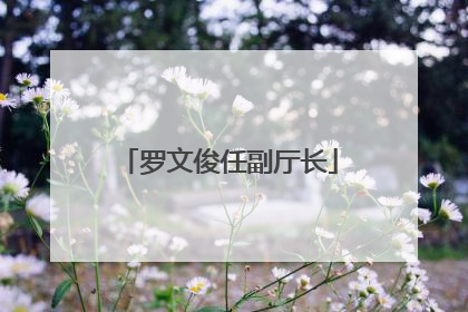 罗文俊任副厅长