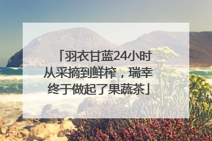 羽衣甘蓝24小时从采摘到鲜榨，瑞幸终于做起了果蔬茶