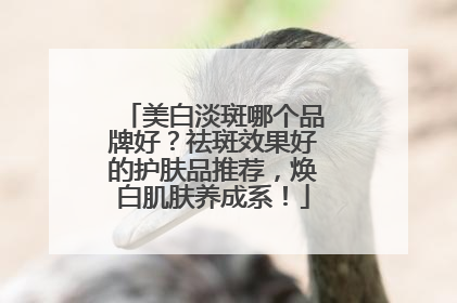 美白淡斑哪个品牌好？祛斑效果好的护肤品推荐，焕白肌肤养成系！