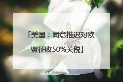 美国：同意推迟对欧盟征收50%关税