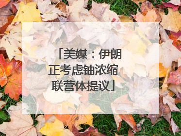 美媒：伊朗正考虑铀浓缩联营体提议
