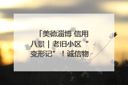 美德淄博 信用八景｜老旧小区“变形记”！诚信物业焐热居民心窝