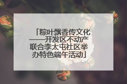 粽叶飘香传文化——开发区不动产联合李太屯社区举办特色端午活动