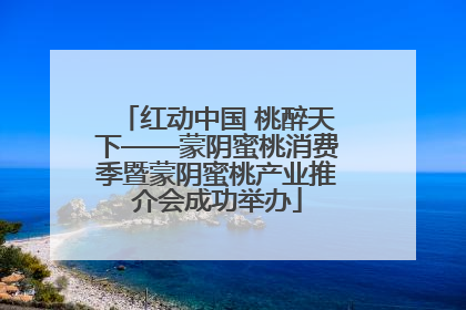 红动中国 桃醉天下——蒙阴蜜桃消费季暨蒙阴蜜桃产业推介会成功举办