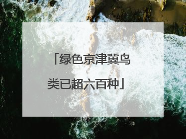 绿色京津冀鸟类已超六百种