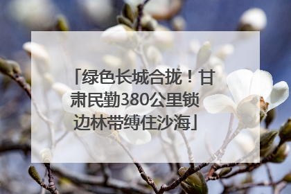 绿色长城合拢！甘肃民勤380公里锁边林带缚住沙海