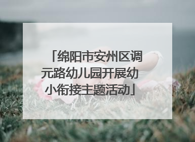 绵阳市安州区调元路幼儿园开展幼小衔接主题活动