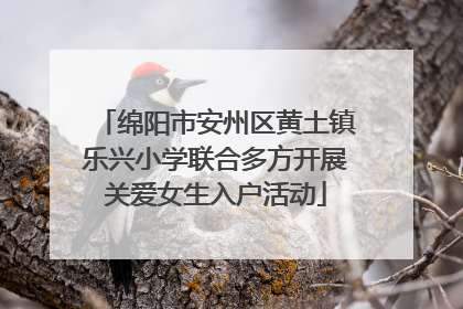 绵阳市安州区黄土镇乐兴小学联合多方开展关爱女生入户活动