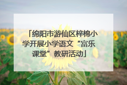 绵阳市游仙区梓棉小学开展小学语文“富乐课堂”教研活动