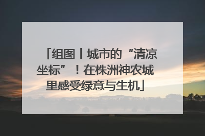 组图丨城市的“清凉坐标”！在株洲神农城里感受绿意与生机