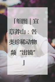 组图｜宜章莽山：各类珍稀动物频“出镜”