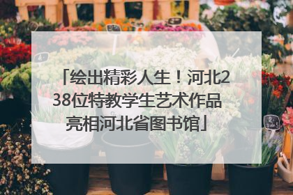 绘出精彩人生！河北238位特教学生艺术作品亮相河北省图书馆