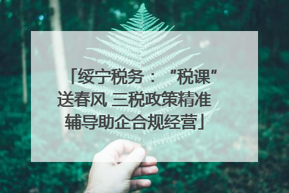 绥宁税务：“税课”送春风 三税政策精准辅导助企合规经营