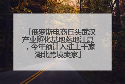 俄罗斯电商巨头武汉产业孵化基地落地江夏，今年预计入驻上千家湖北跨境卖家
