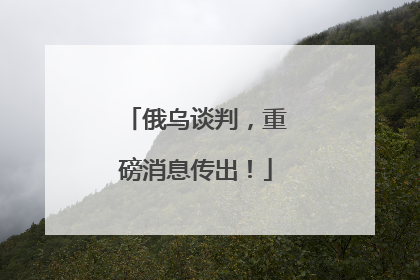 俄乌谈判,重磅消息传出!