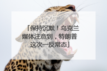 保持沉默！乌克兰媒体注意到，特朗普这次一反常态