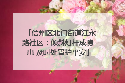 信州区北门街道江永路社区：倾斜灯杆成隐患 及时处置护平安