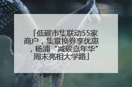 低碳市集联动55家商户，集章换券享优惠，杨浦“减碳嘉年华”周末亮相大学路