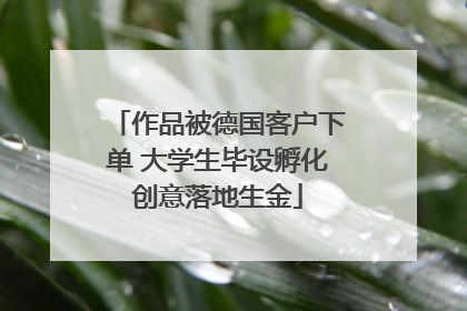 作品被德国客户下单 大学生毕设孵化创意落地生金