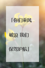 你们乘风破浪 我们保驾护航