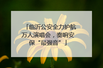 临沂公安全力护航万人演唱会，奏响安保“最强音”