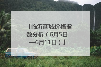临沂商城价格指数分析（6月5日—6月11日）
