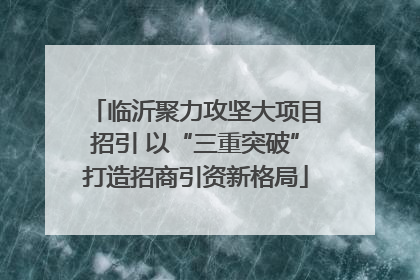 临沂聚力攻坚大项目招引 以“三重突破”打造招商引资新格局