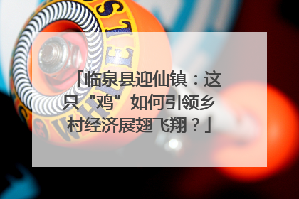 临泉县迎仙镇：这只“鸡”如何引领乡村经济展翅飞翔？