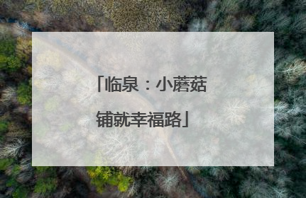 临泉：小蘑菇铺就幸福路