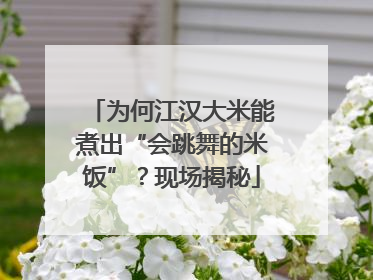 为何江汉大米能煮出“会跳舞的米饭”？现场揭秘