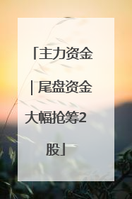 主力资金｜尾盘资金大幅抢筹2股