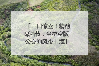 一口惊喜！精酿啤酒节，坐星空版公交兜风夜上海