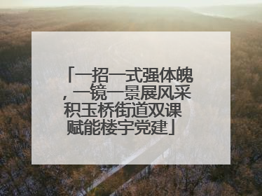一招一式强体魄，一镜一景展风采 积玉桥街道双课赋能楼宇党建