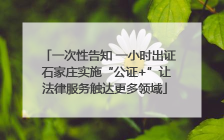 一次性告知 一小时出证 石家庄实施“公证+”让法律服务触达更多领域