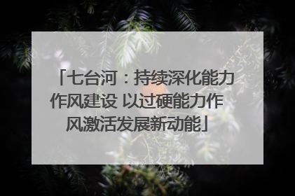 七台河：持续深化能力作风建设 以过硬能力作风激活发展新动能