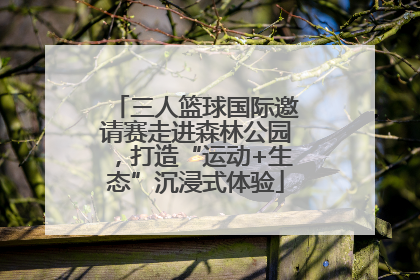三人篮球国际邀请赛走进森林公园，打造“运动+生态”沉浸式体验