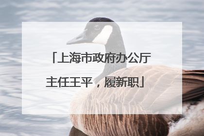 上海市政府办公厅主任王平，履新职