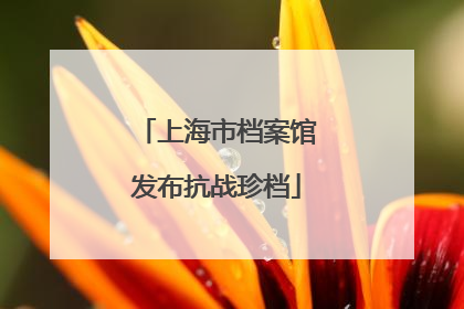 上海市档案馆发布抗战珍档